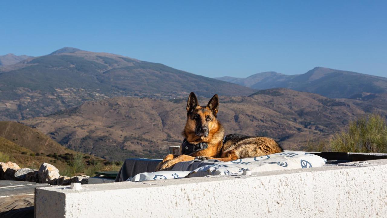 فيلا Cortijo La Vista أورخيفا المظهر الخارجي الصورة