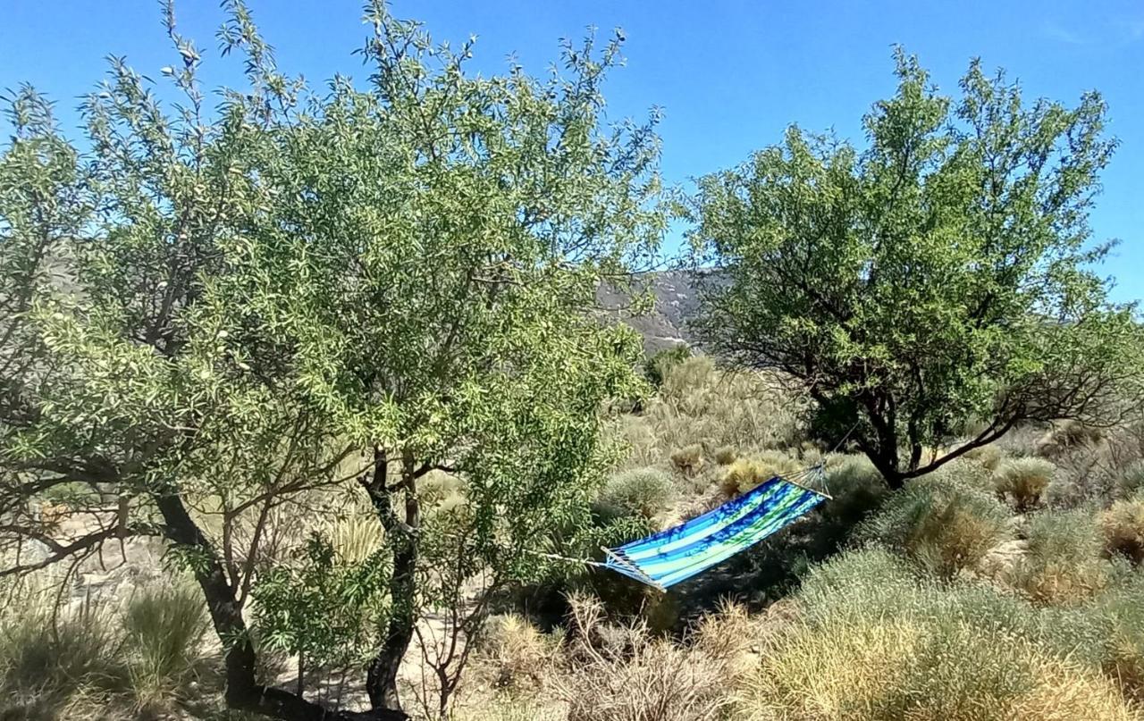 فيلا Cortijo La Vista أورخيفا المظهر الخارجي الصورة