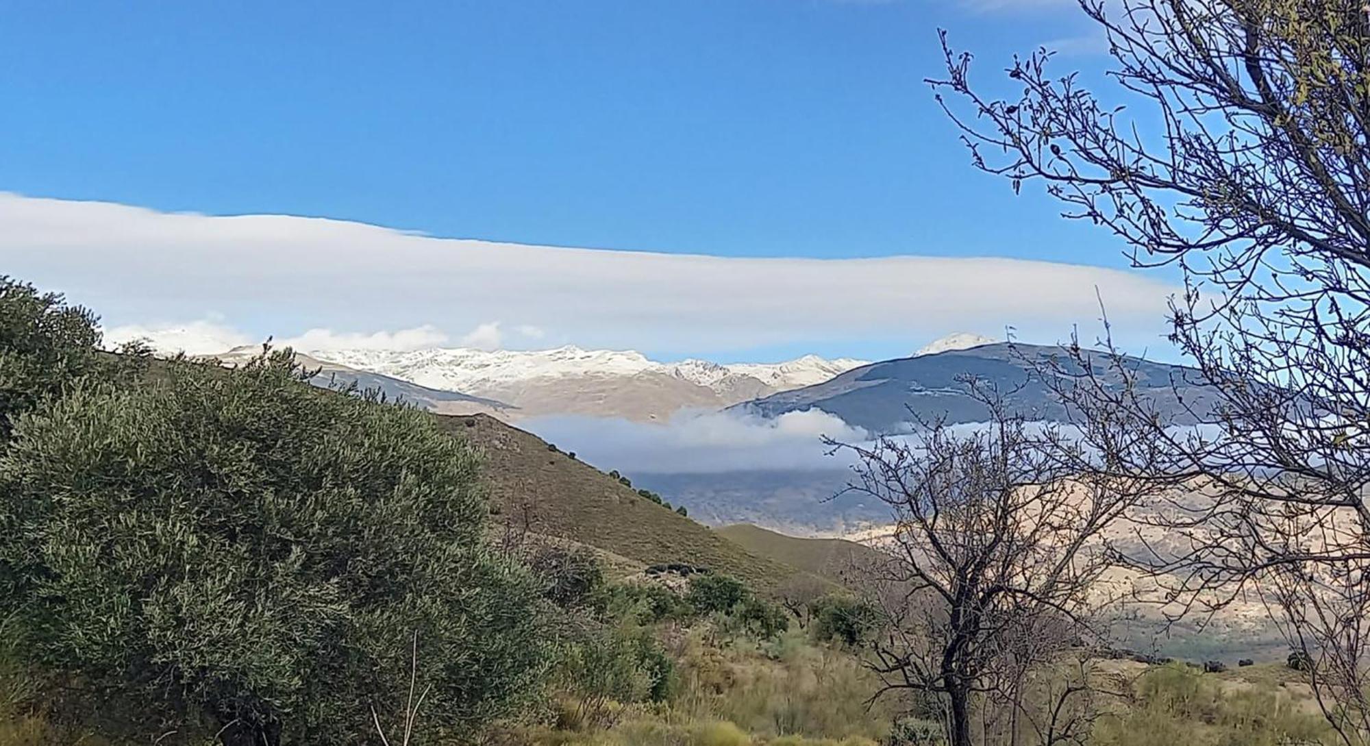 فيلا Cortijo La Vista أورخيفا المظهر الخارجي الصورة