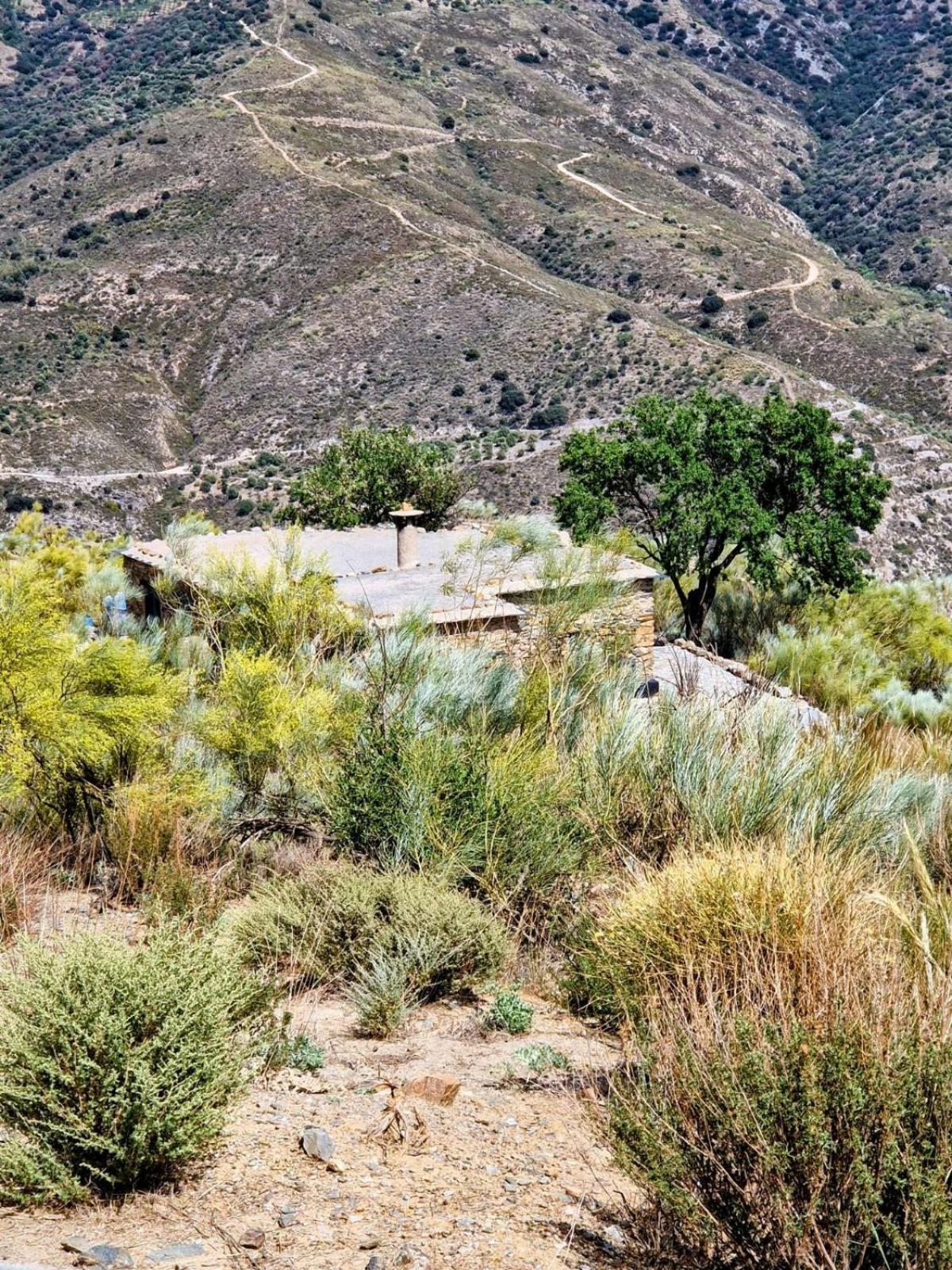 فيلا Cortijo La Vista أورخيفا المظهر الخارجي الصورة