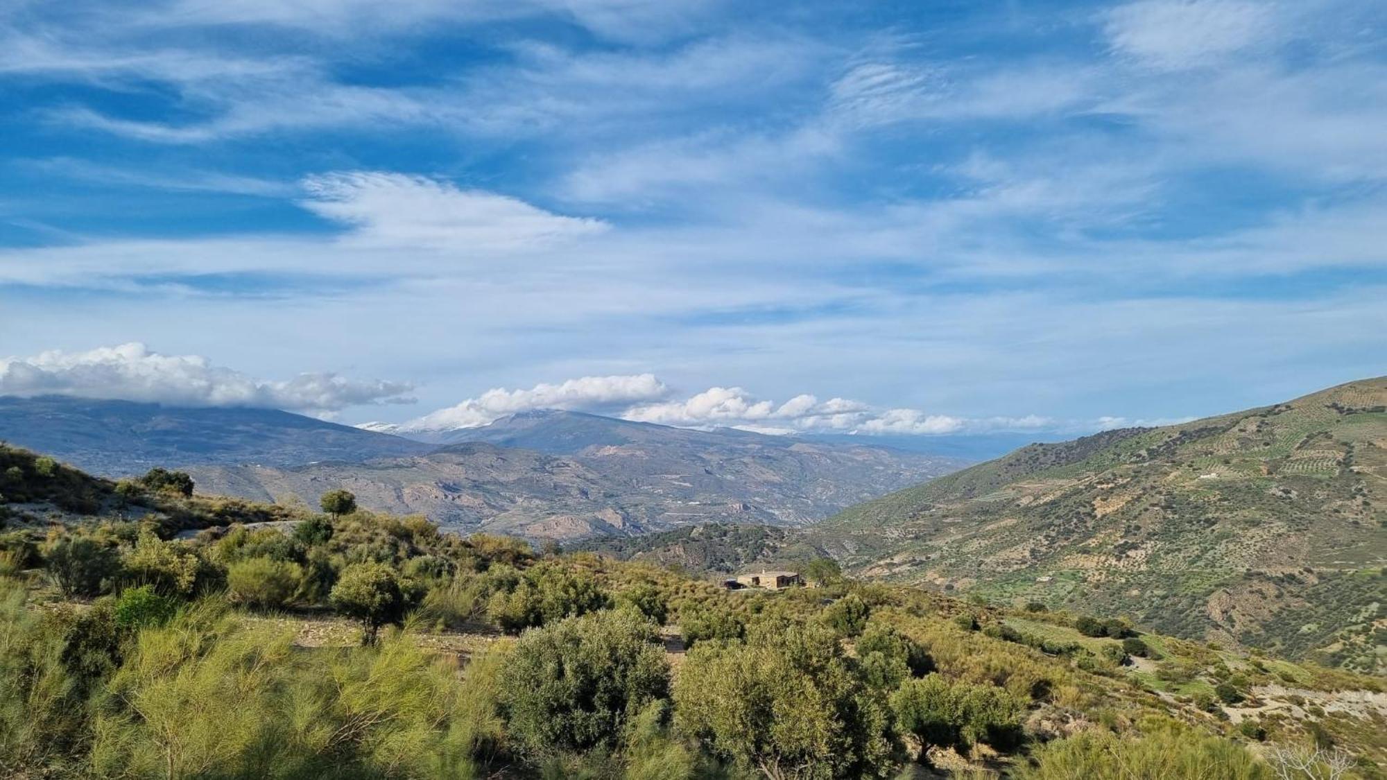 فيلا Cortijo La Vista أورخيفا المظهر الخارجي الصورة